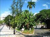 Santiago Palmer Square - CAGUAS